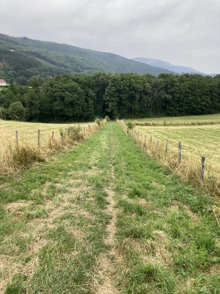 Au bord du lac de Pierre-Châtel