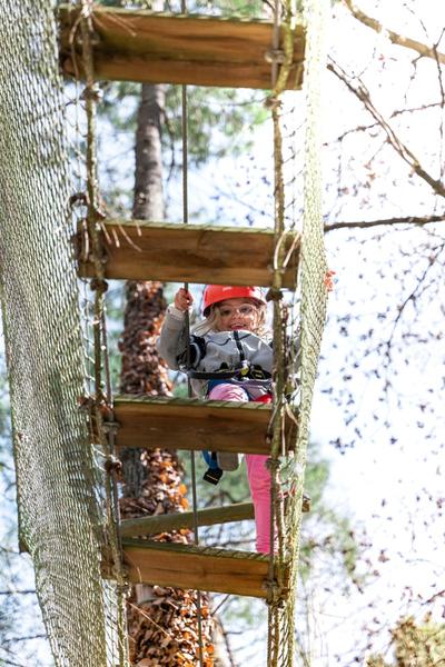 Parcours aventure dans les arbres 