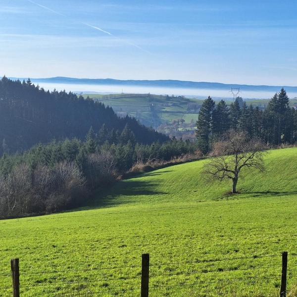 Le pré bleu de Marnand