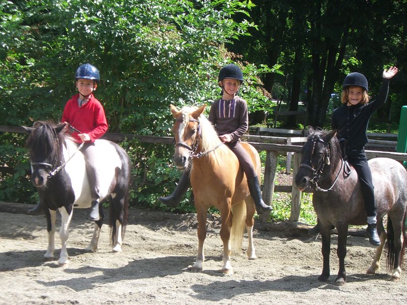 Centre équstre de Thônes