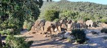 Dolmen de Gaoutabry dans son environnement