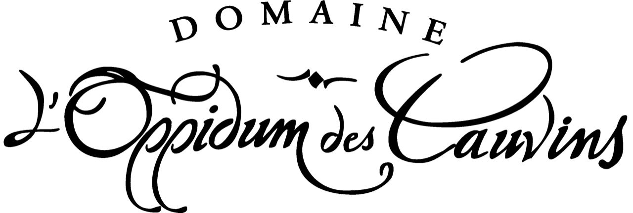Domaine l'Oppidum des Cauvins  France Provence-Alpes-Côte d'Azur Bouches-du-Rhône Rognes 13840