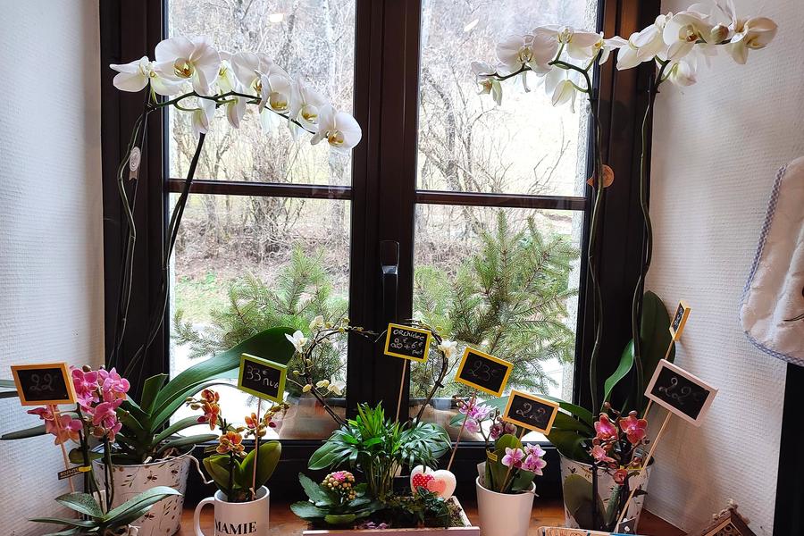 La Boutique_Bellevaux