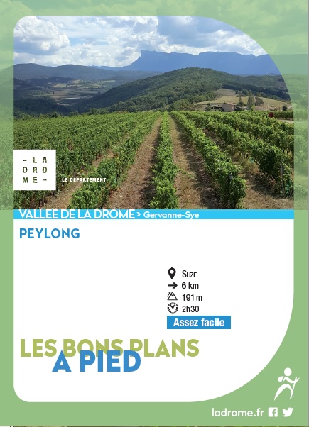 Peylong