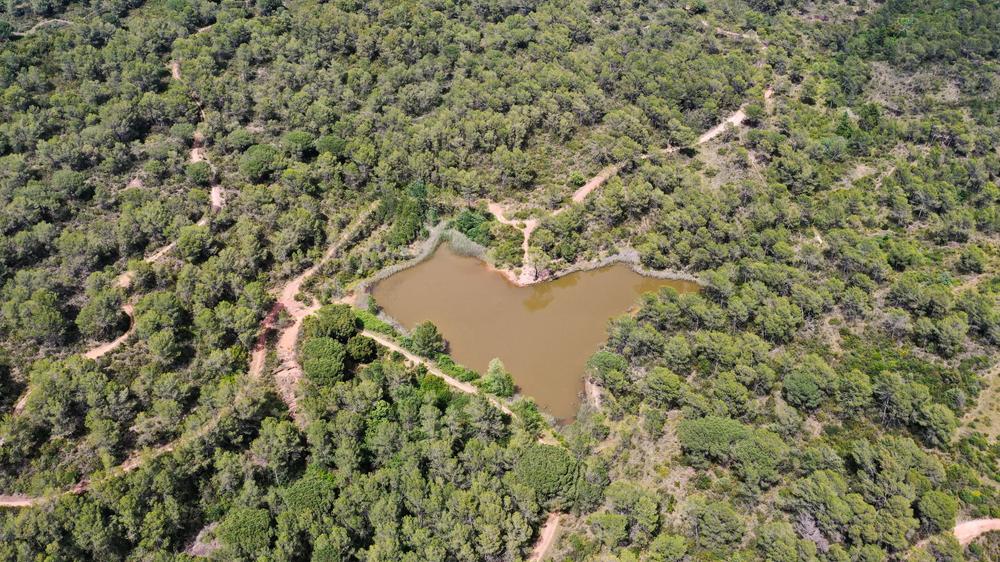 lac de coeur vue ciel drone