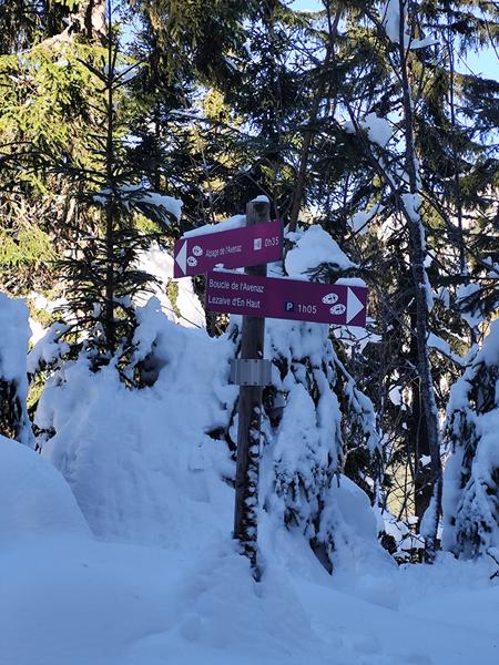 Boucle de l'Avenaz - sentier raquettes_Cordon