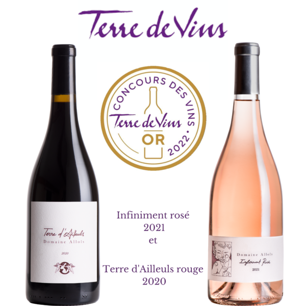 Terre d'Ailleuls rouge 2020(1)