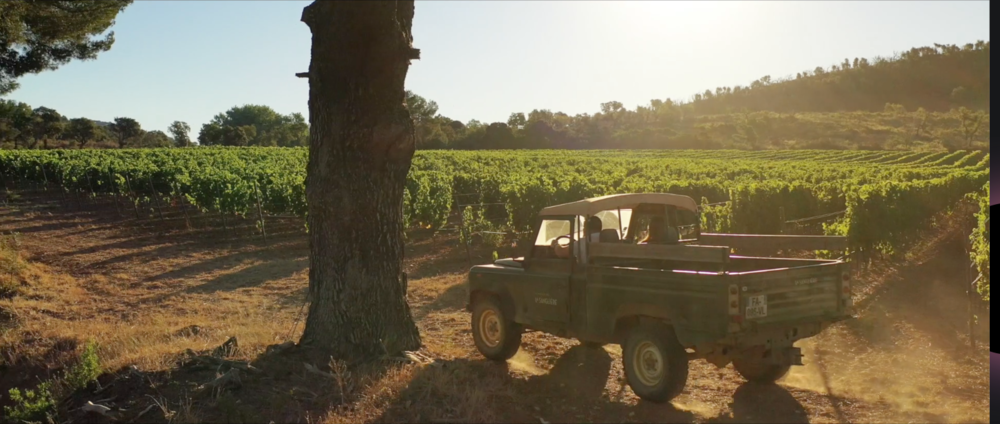 Domaine de la Sanglière