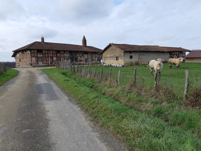 Circuit VTT-VTC n°22 (bleu) La Petite Sarrasine