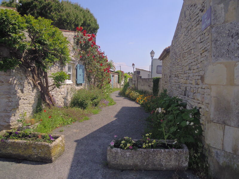 Balade les jeudis des villages - Sauzelle