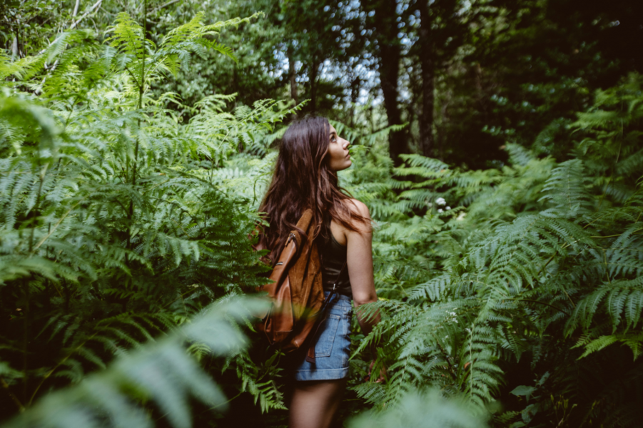 Sentiers de la forêt de Montagnol Sidobre