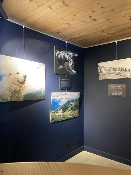 Exposition : On ne vous dit Patou