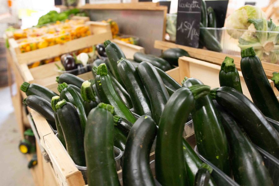 Le potager du Paradis