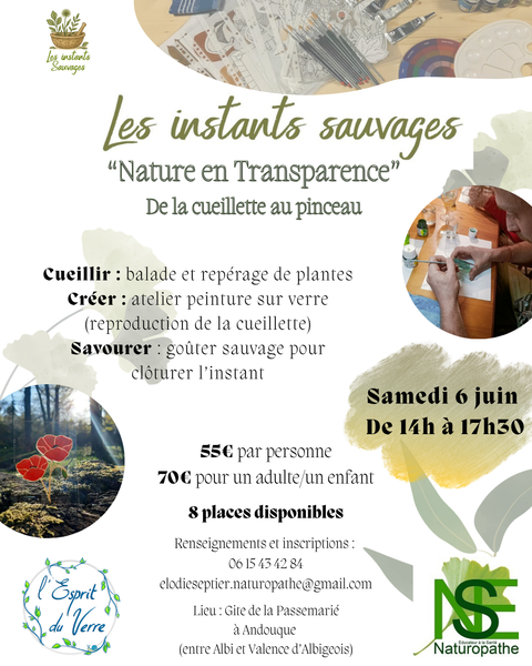 Balade botanique, goûter et atelier peinture sur verre