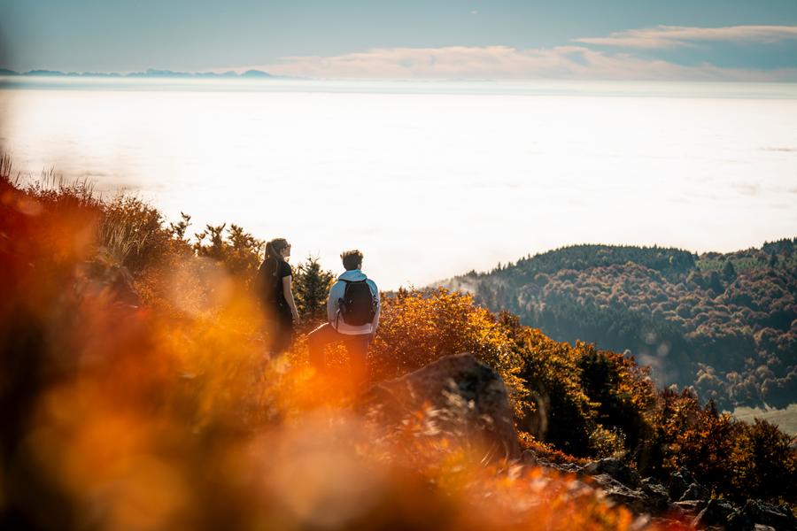 Sentier d'interprétation - A la découverte des Crêts - boucle de 10 km_Véranne