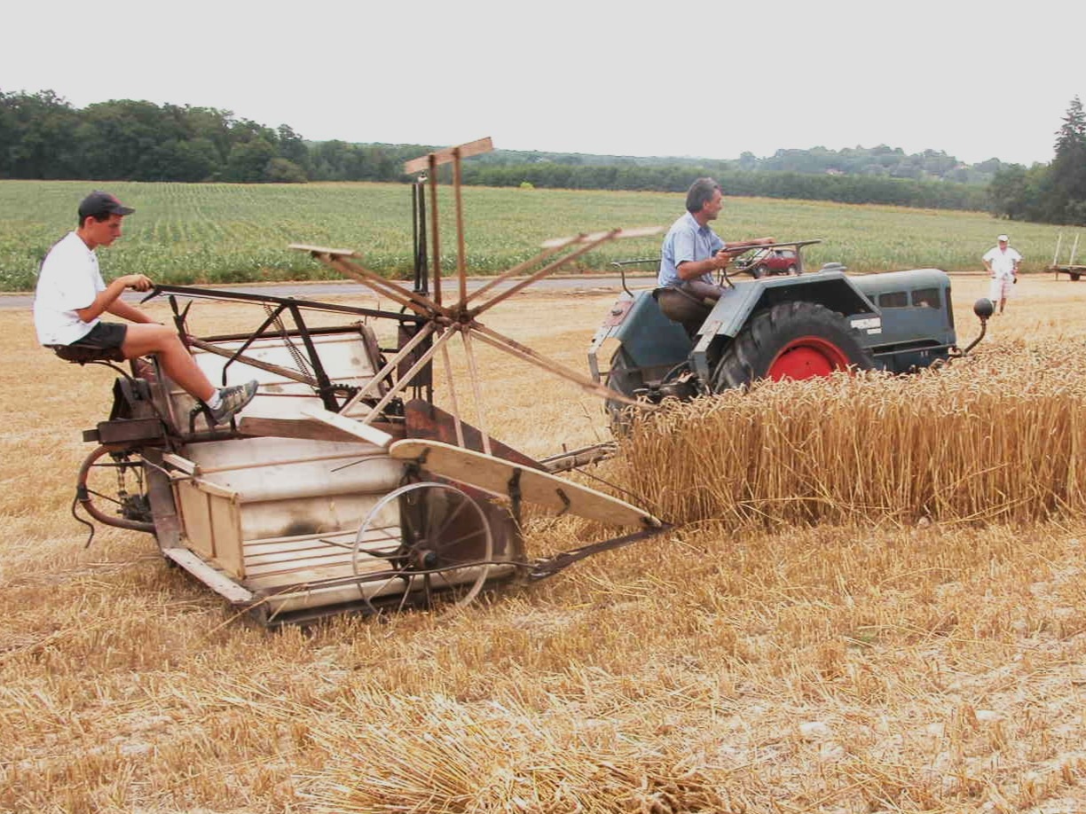 Écofête au Moustique