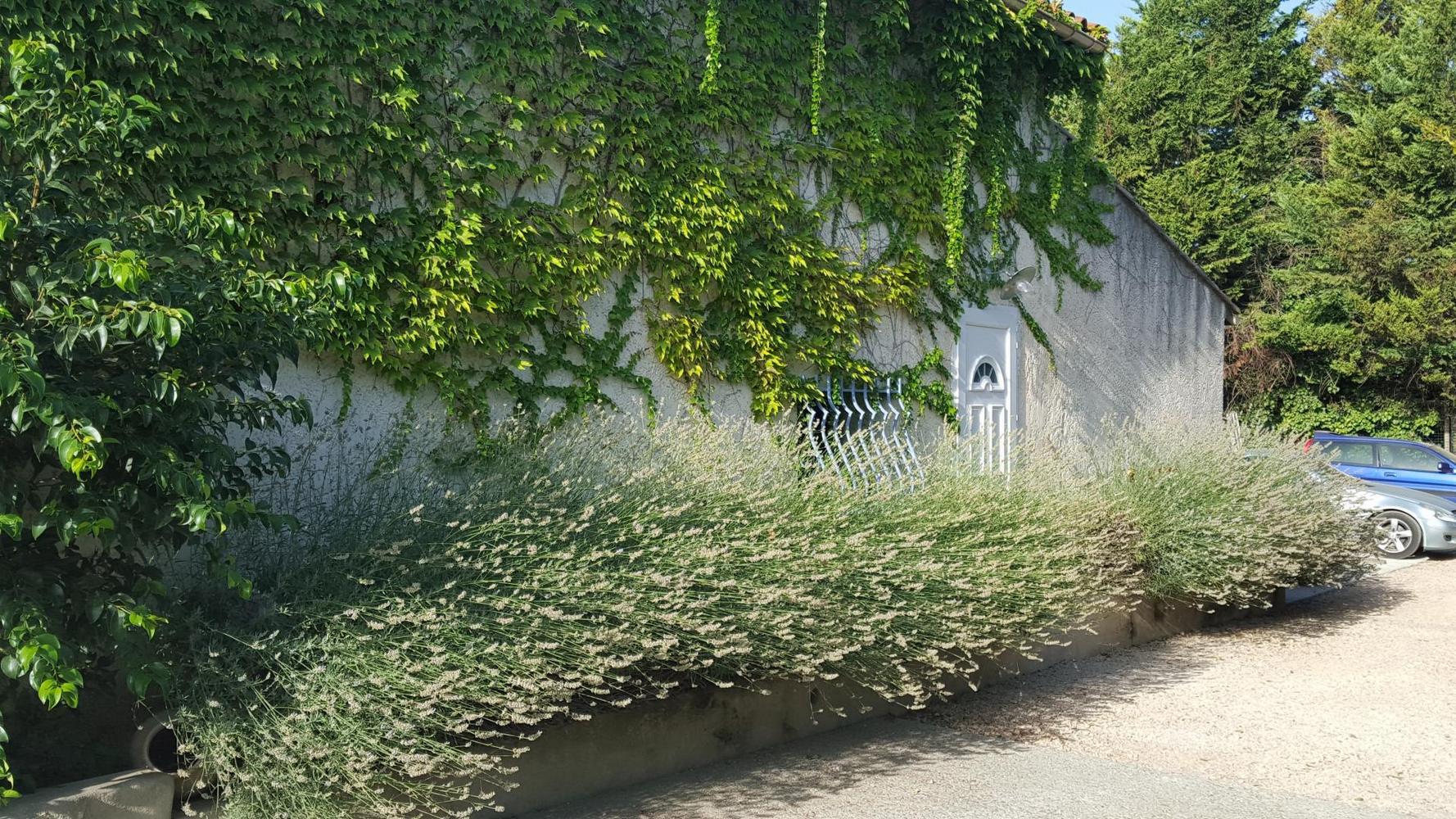 La Maison des Oiseaux - photo 2