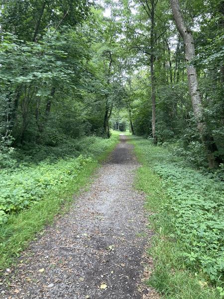 Au bord du lac de Pierre-Châtel