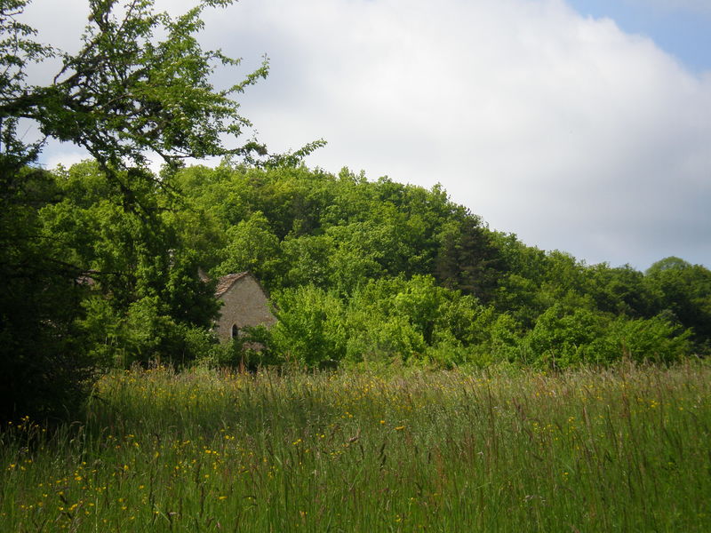 L'église de St Maurice d'Echazeaux dans son écrin de verdure