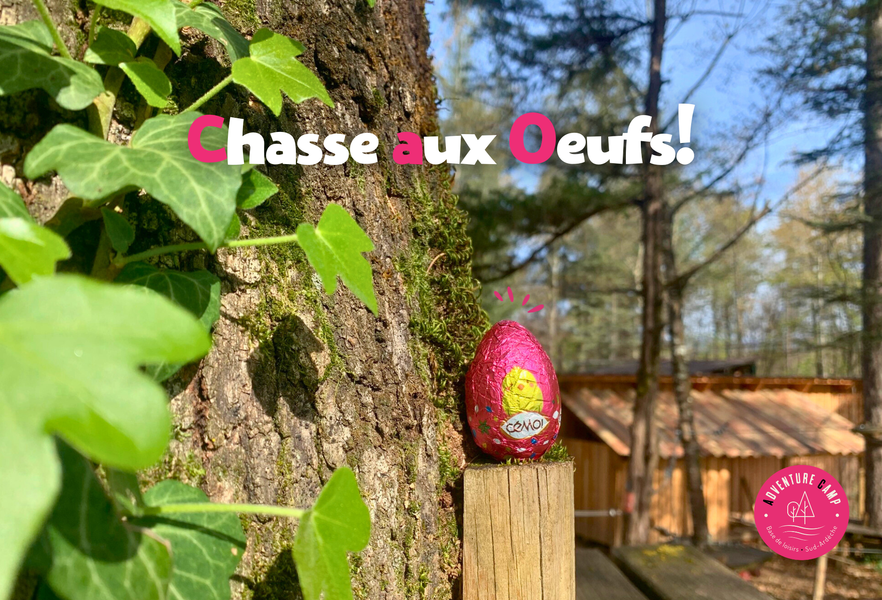 Titre chasse aux oeufs