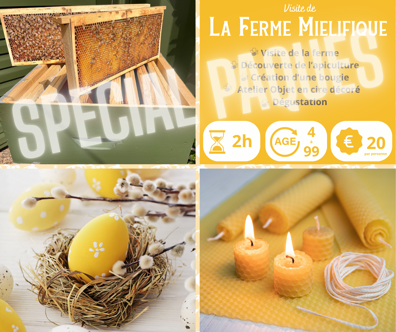 Spécial Pâques : visite et ateliers autour de l'apiculture_FermeMiélifique_Mornant