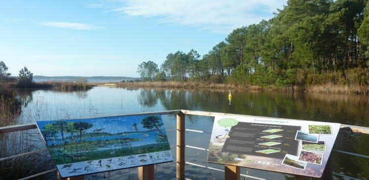 La Réserve Biologique Dirigée de Vire Vieille, Vignotte et Batejin