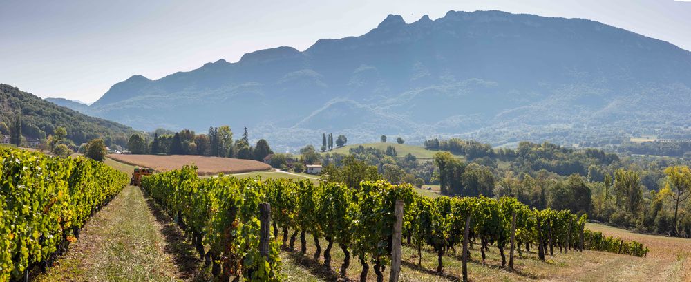 Domaine au pied de la Dent du Chat