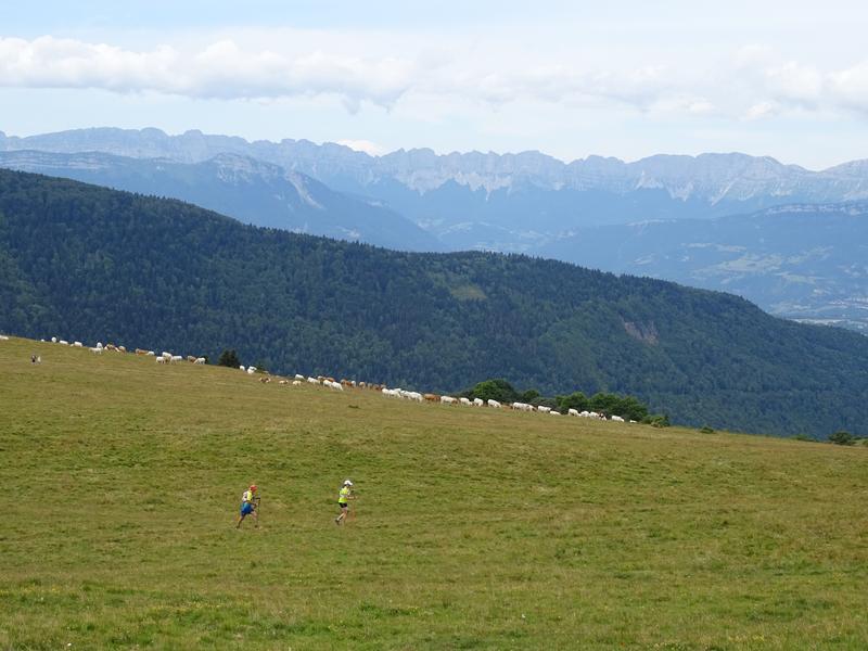 N°11 Le Sénépy VTT - Noir_Pierre-Châtel