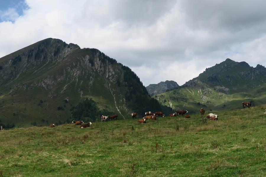 Randonnée à pied au Col Ratti_La Côte-d'Arbroz