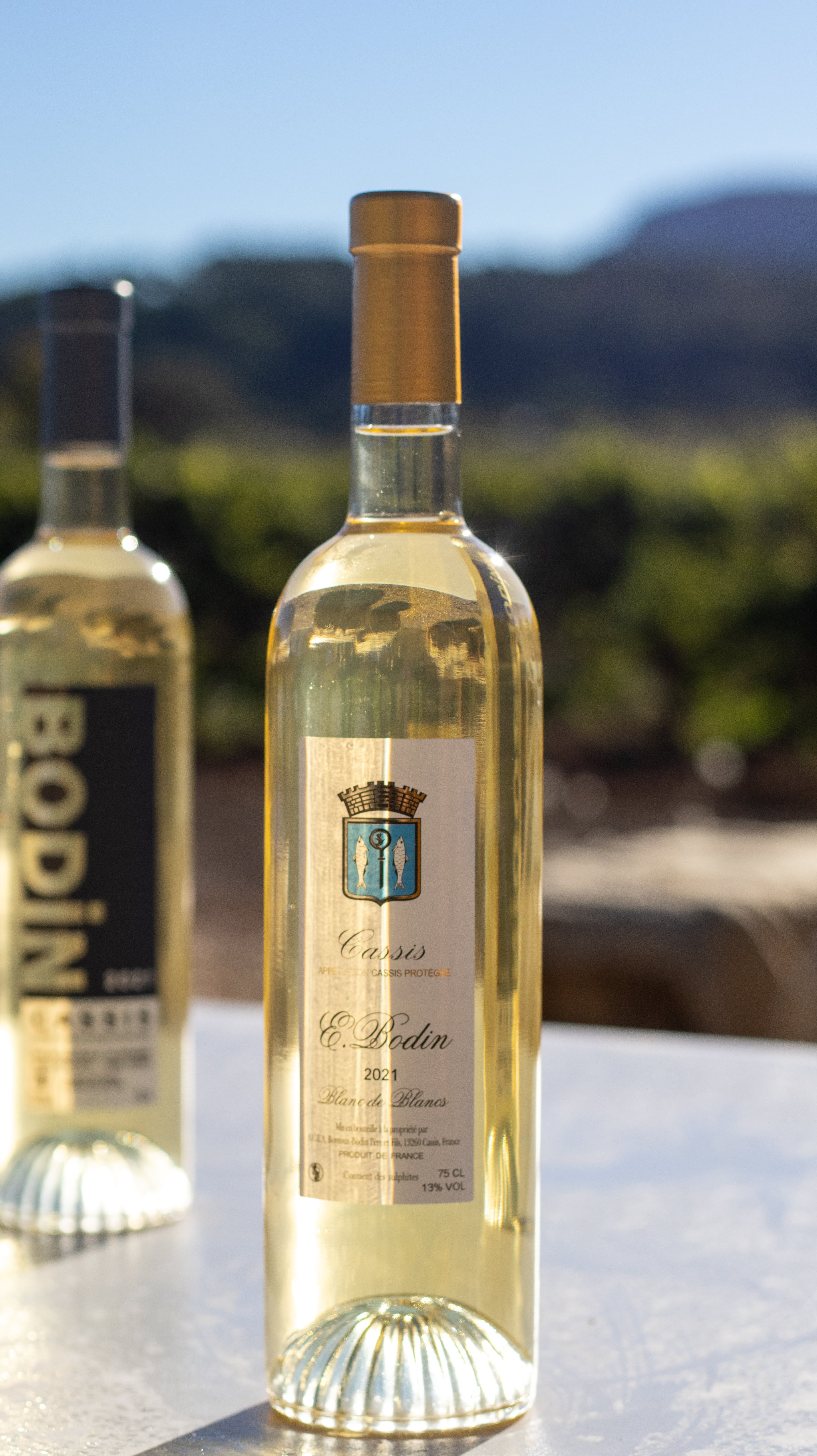 Domaine Cassis Bodin, Cassis - photo 4