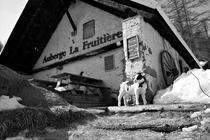 La Fruitière de Névache, à Fontcouverte