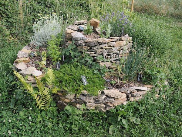 Sortie Lo Parvi : construction d'une spirale aromatique (chantier)