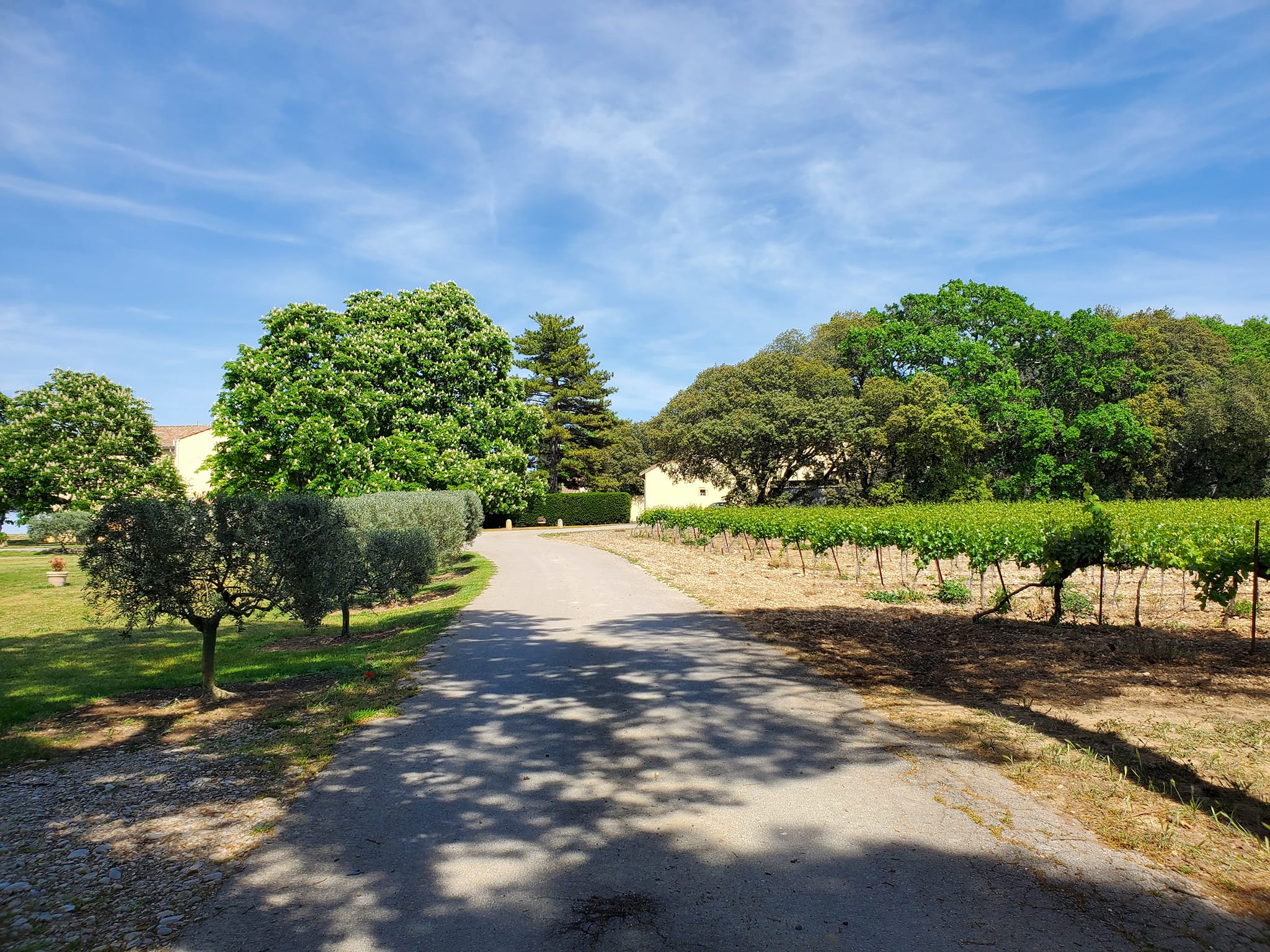 Domaine l'Oppidum des Cauvins