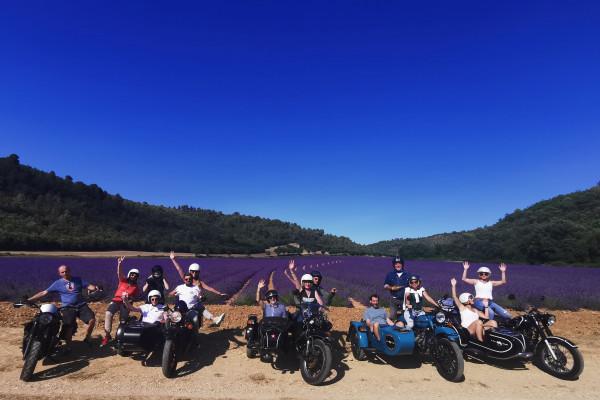 Circuit des lavandes et vignobles en sidecar : 2h,4h ou 6h (juin à septembre)