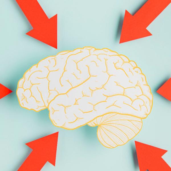 Atelier à la médiathèque