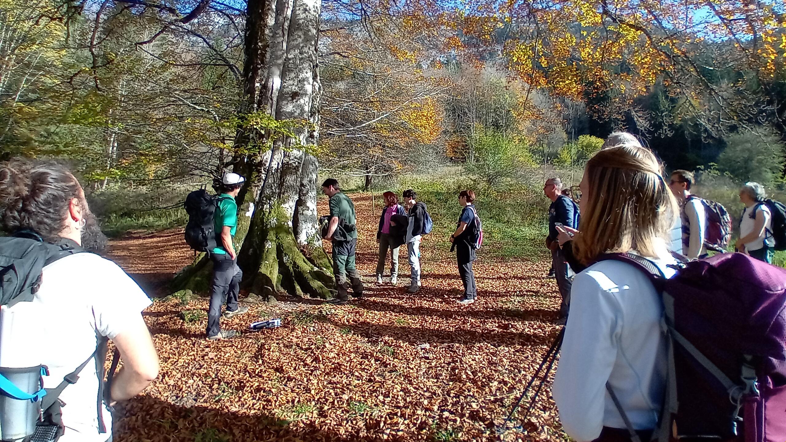 Forêt des Écouges : biodiversité et histoire d'un espace naturel sensible_Saint-Gervais