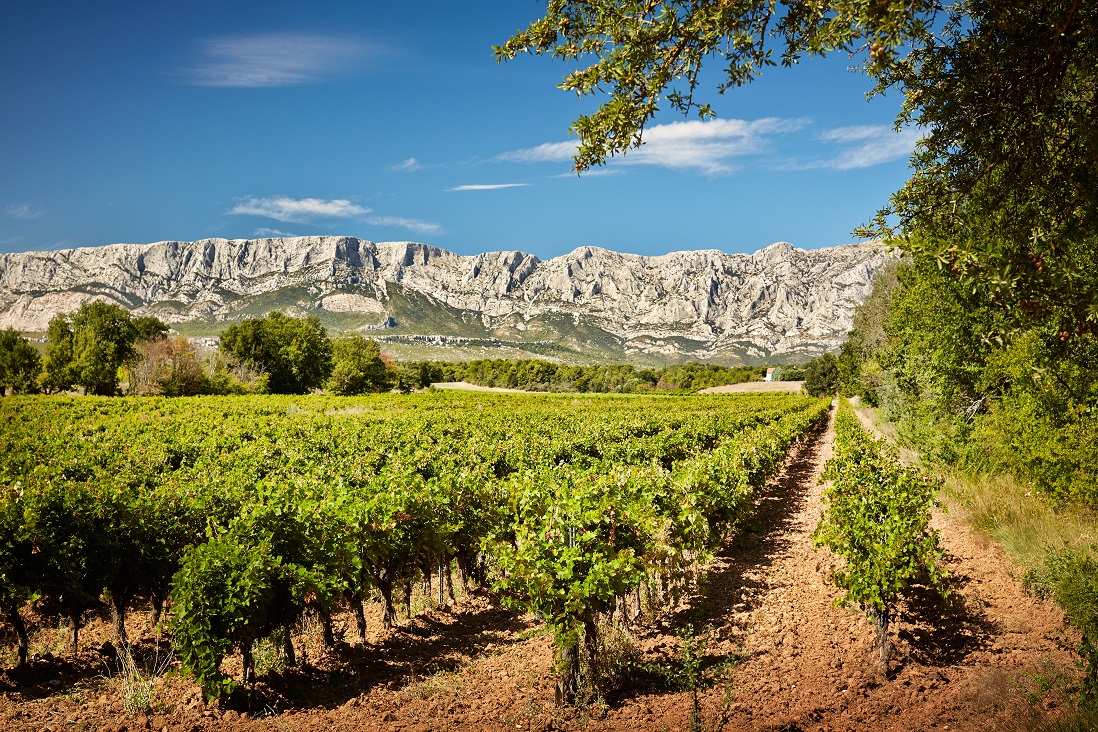 Rallye découverte des vins de la Sainte-Victoire