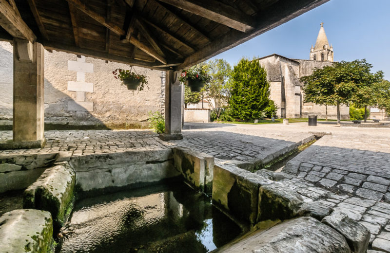 Pas à pas en Grande Champagne