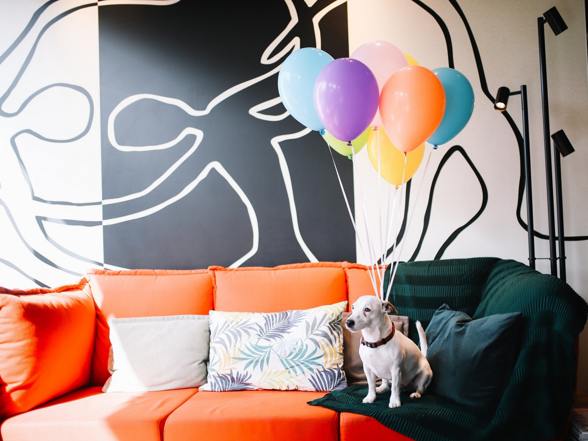 Ibis Aix en Provence - photo 2