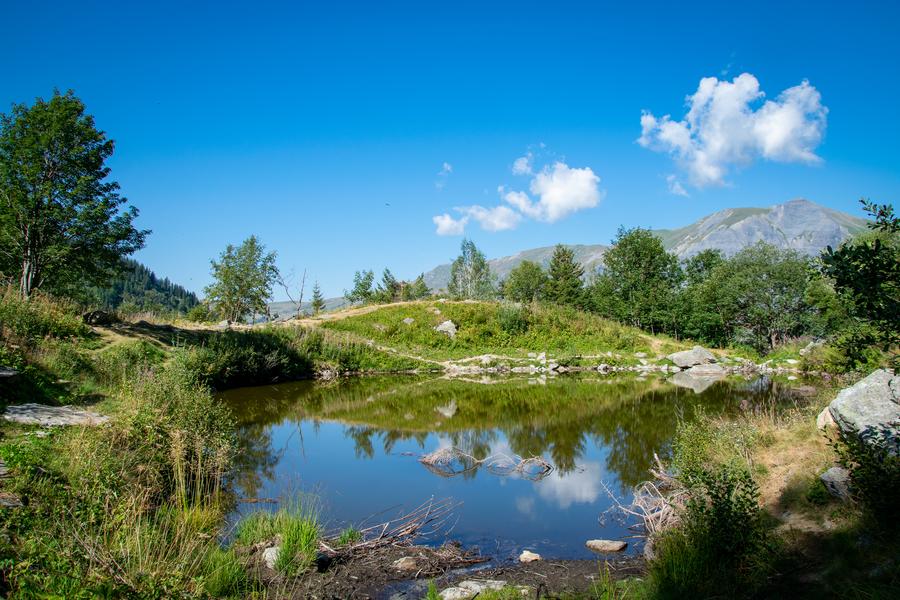 Lac d'Armancette