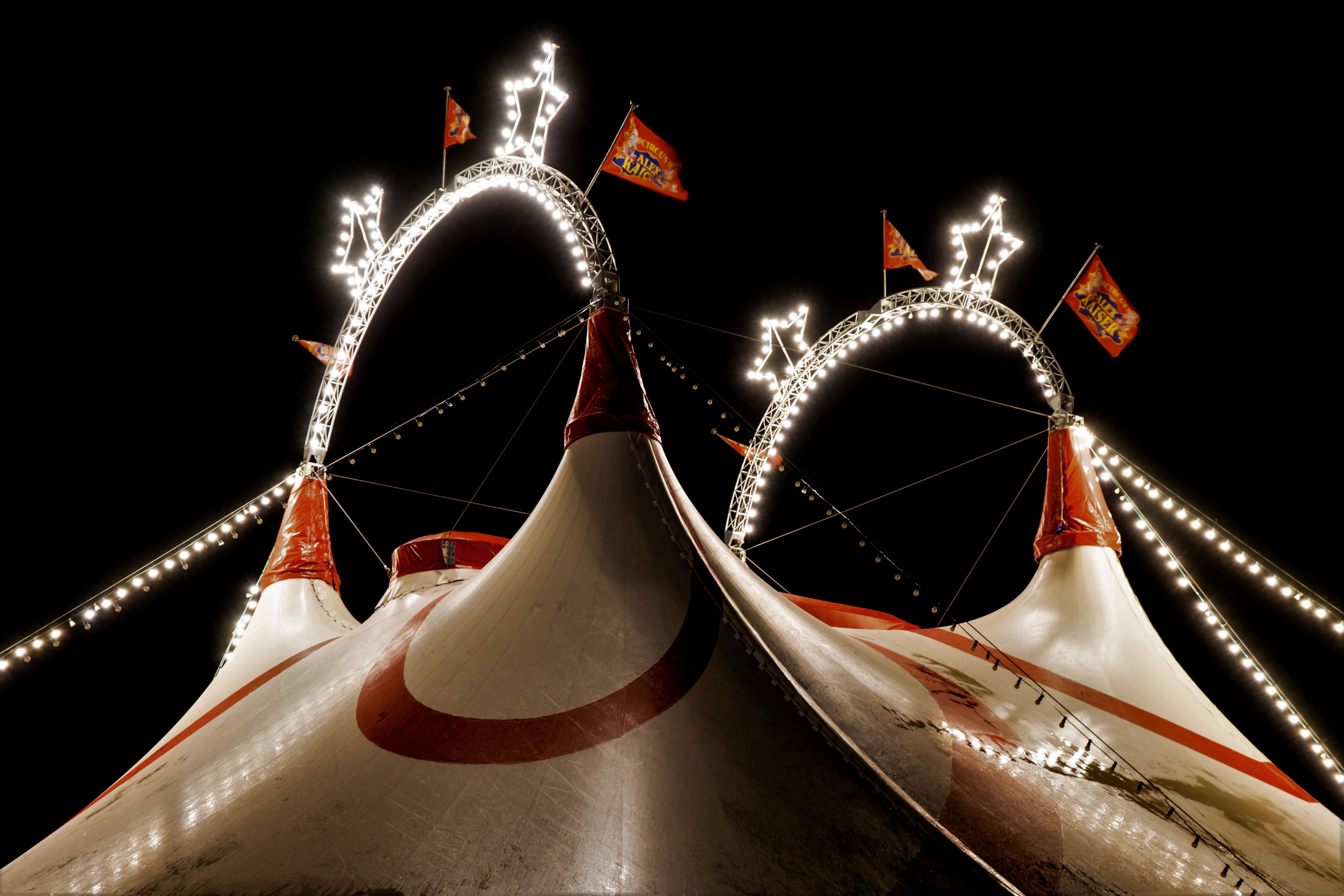 Cirque la magie Disney