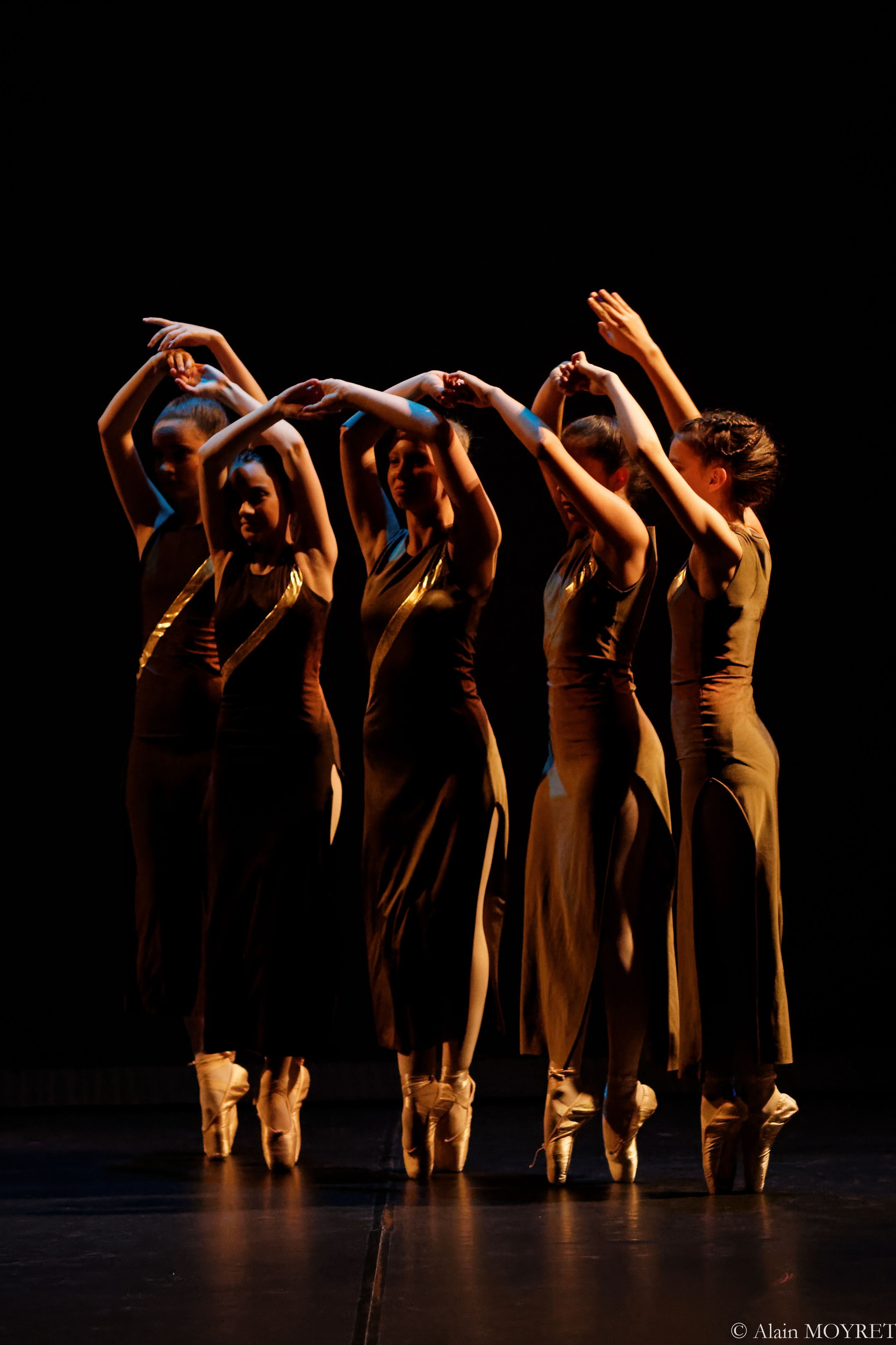 Journées de la Danse_Vienne
