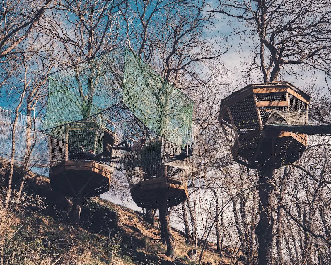 Canopy en Forêt - Bois des Gaulois