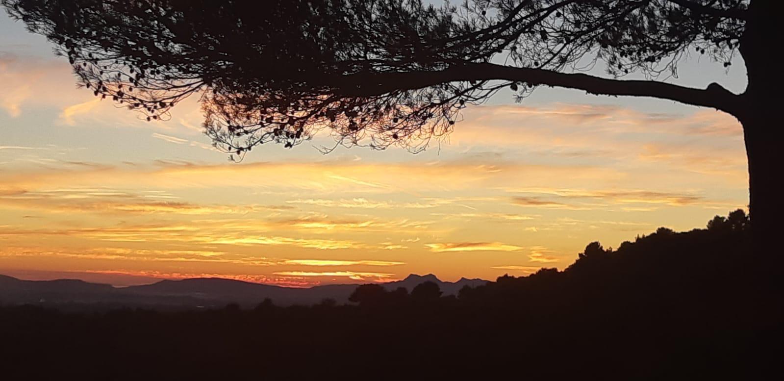 Pin Parasol, Jouques - photo 30
