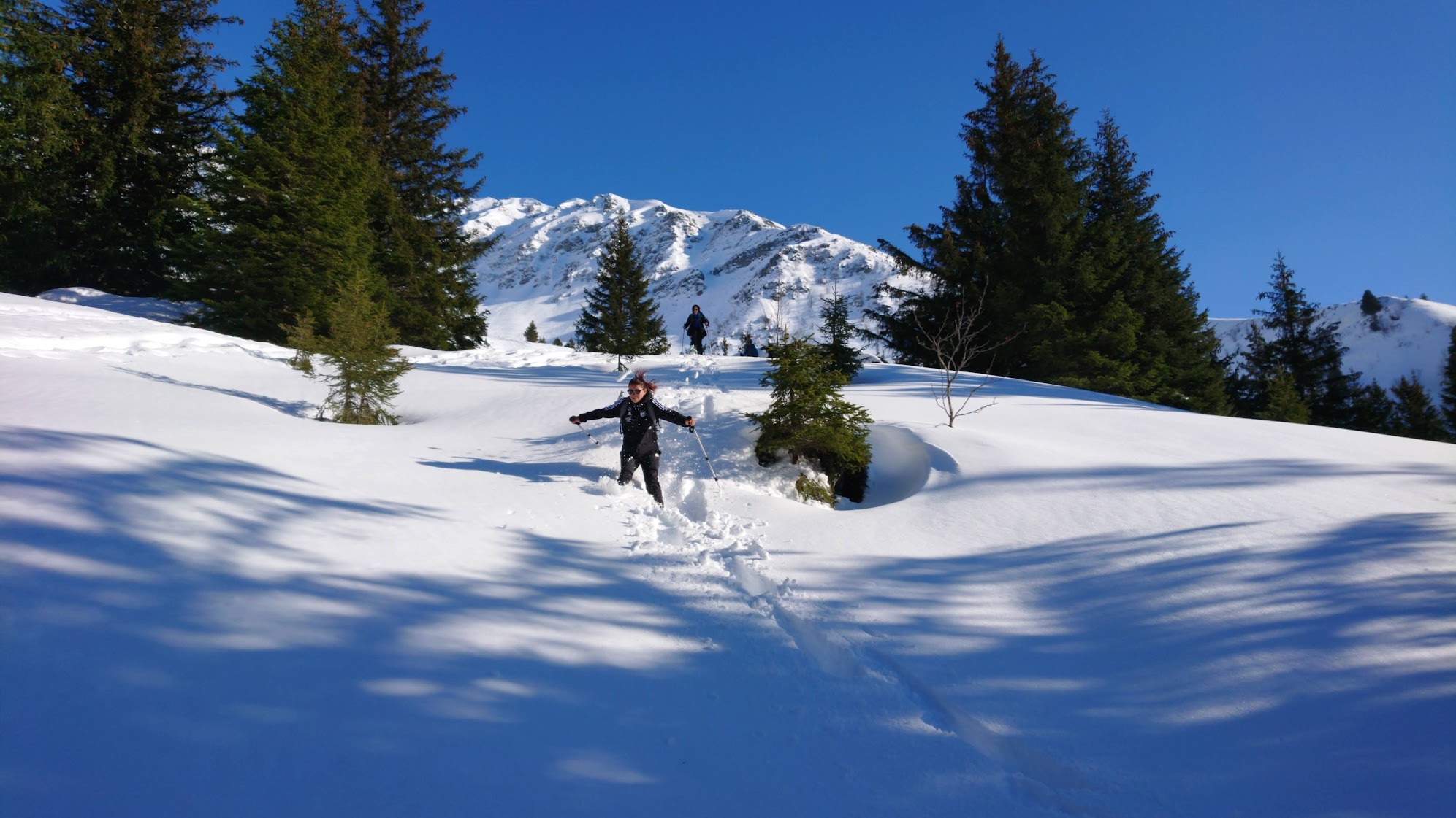 Snowshoe hike - Mountain fauna adapting to winter