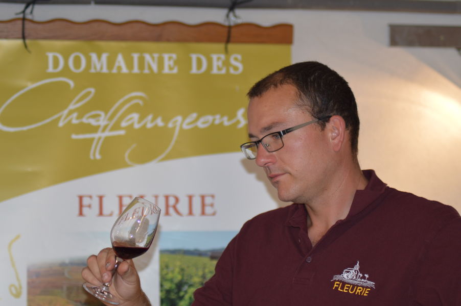 Domaine des Chaffangeons à FLEURIE