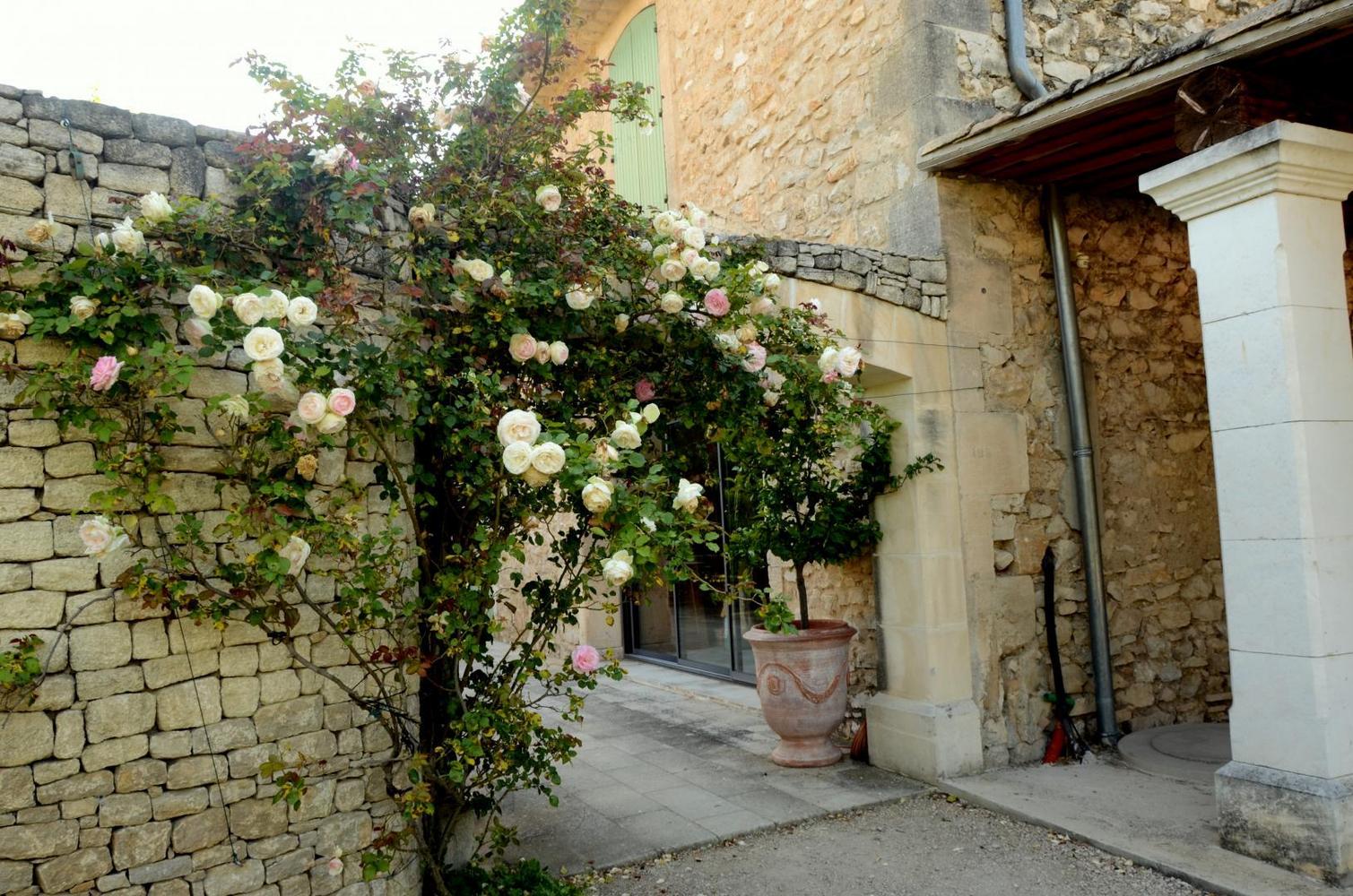 Mas Toulouse, Plan-d'Orgon - photo 25