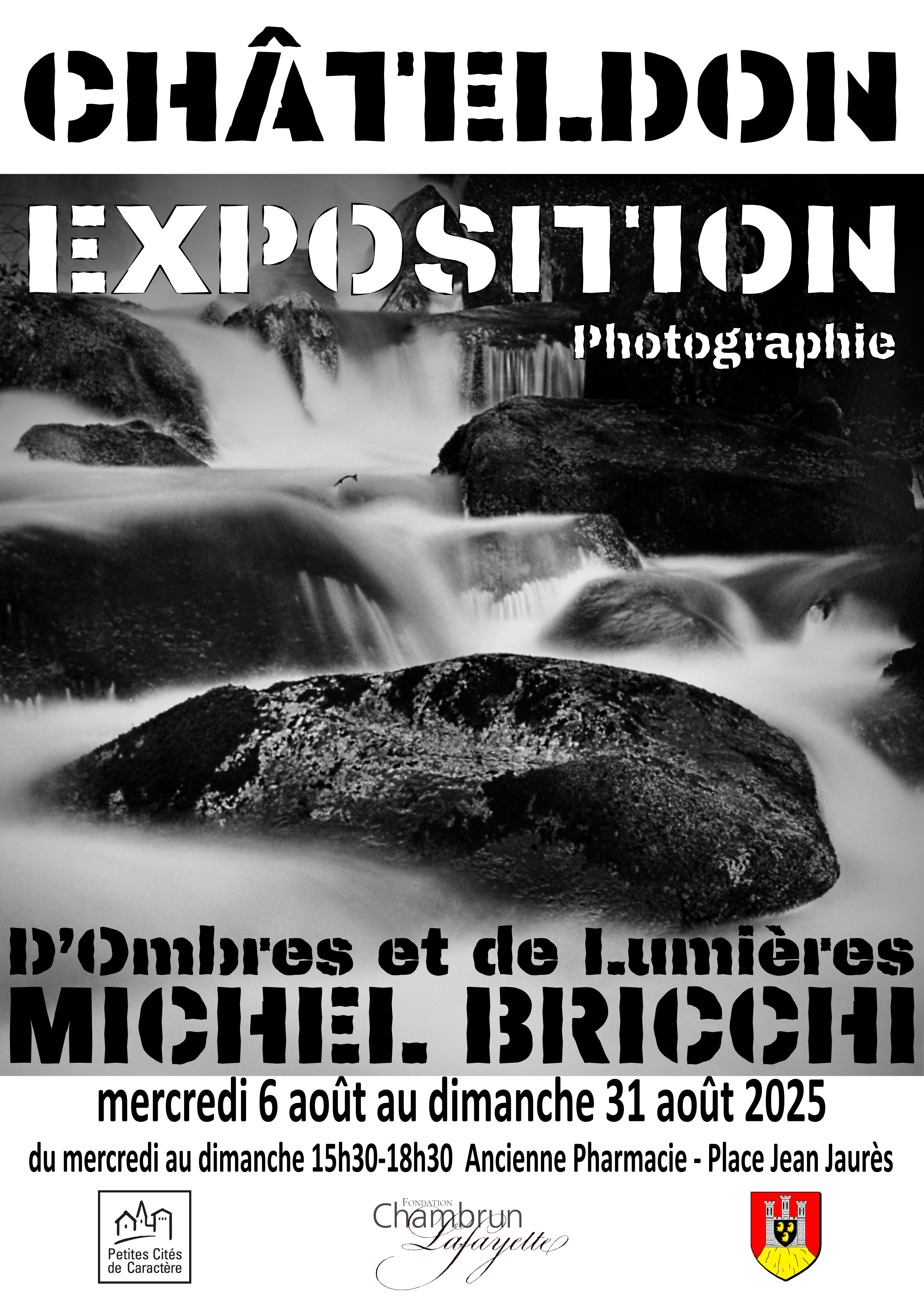 Exposition - Michel Bricchi