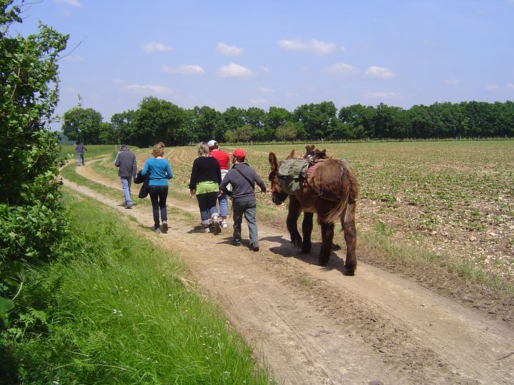 Pique-nique avec un âne bâté