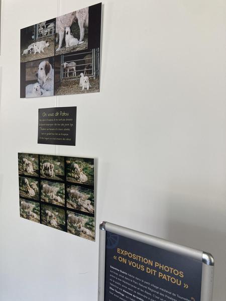 Exposition : On ne vous dit Patou